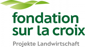 Fondation sur la croix